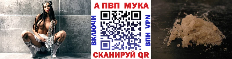 Альфа ПВП СК Устюжна