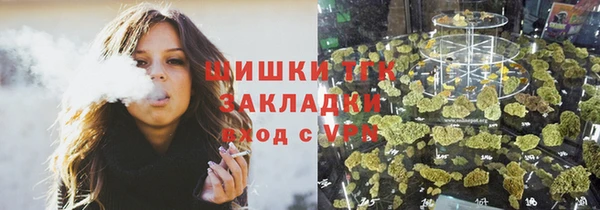 ГАЛЛЮЦИНОГЕННЫЕ ГРИБЫ Тавда