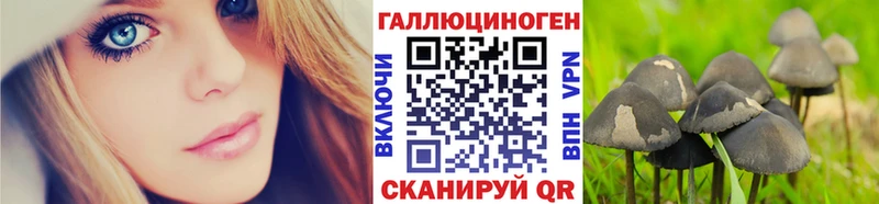 купить   Устюжна  Галлюциногенные грибы мухоморы 
